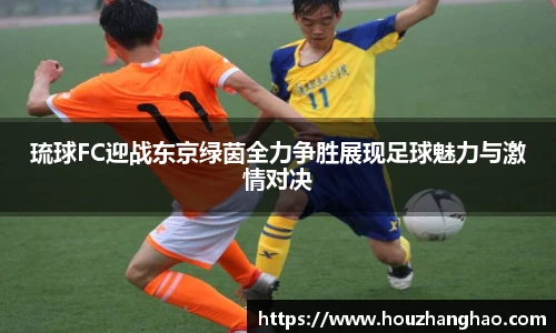 琉球FC迎战东京绿茵全力争胜展现足球魅力与激情对决